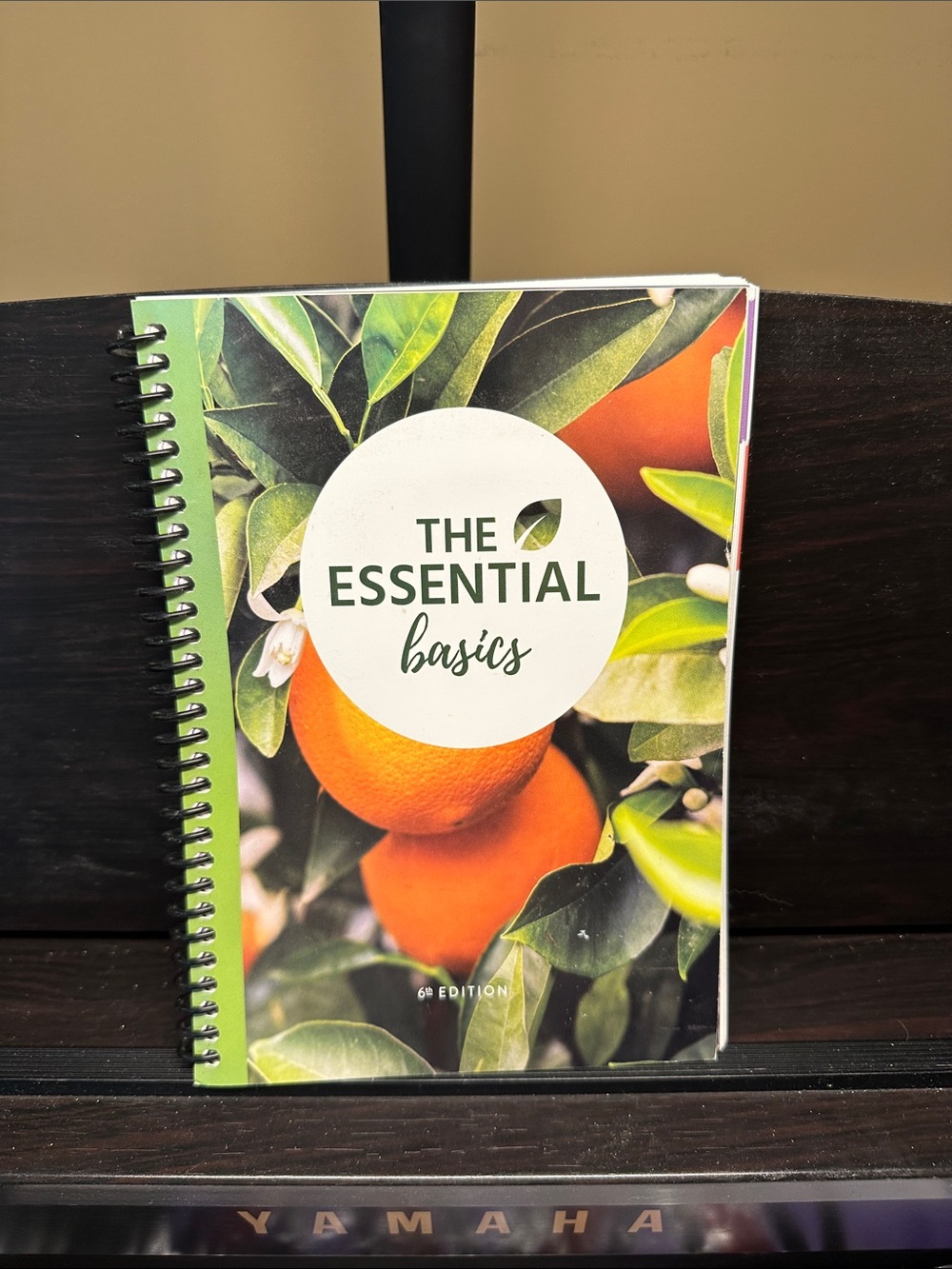 The Essential Basics Book - Essential Oils How To